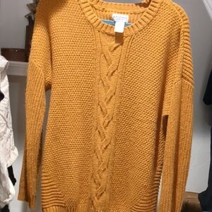 Arizona Jean Company Women's Orange Sweater